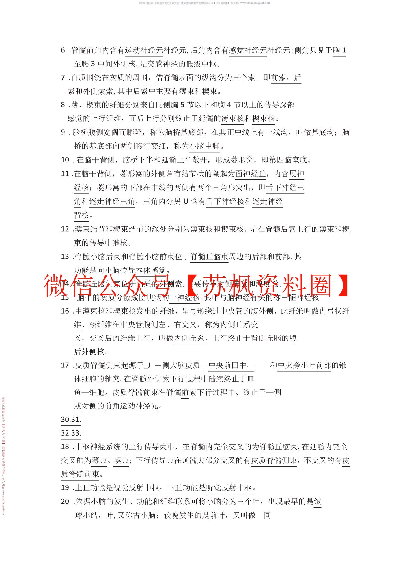 中枢神经系统